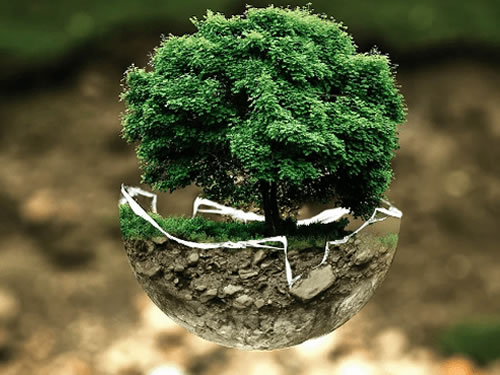 短端用于环境管理